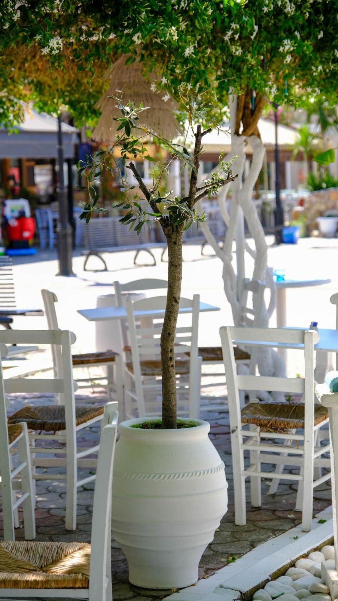 Cocoon Hotel-Beach Bar Σάρτη Εξωτερικό φωτογραφία