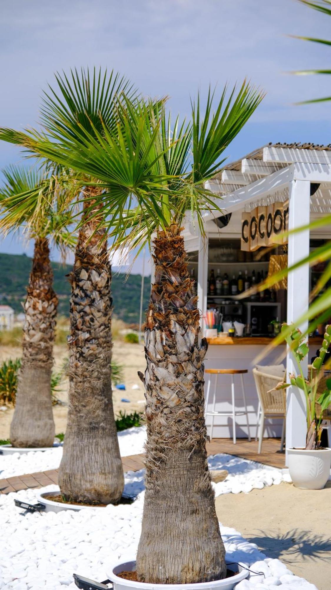Cocoon Hotel-Beach Bar Σάρτη Εξωτερικό φωτογραφία